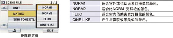 随机附带图像改善技术的小型便携式摄像机，可进行全高清采样和专业调节功能的3MOS系统