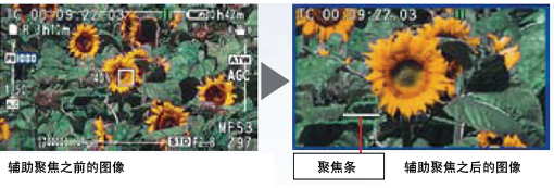 快速适应拍摄条件的变化，辅助功能可支持专业级视频制作