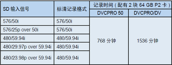 输入/记录格式