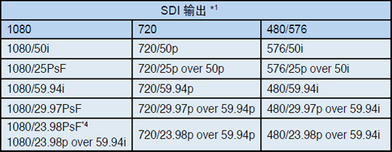输入/记录格式