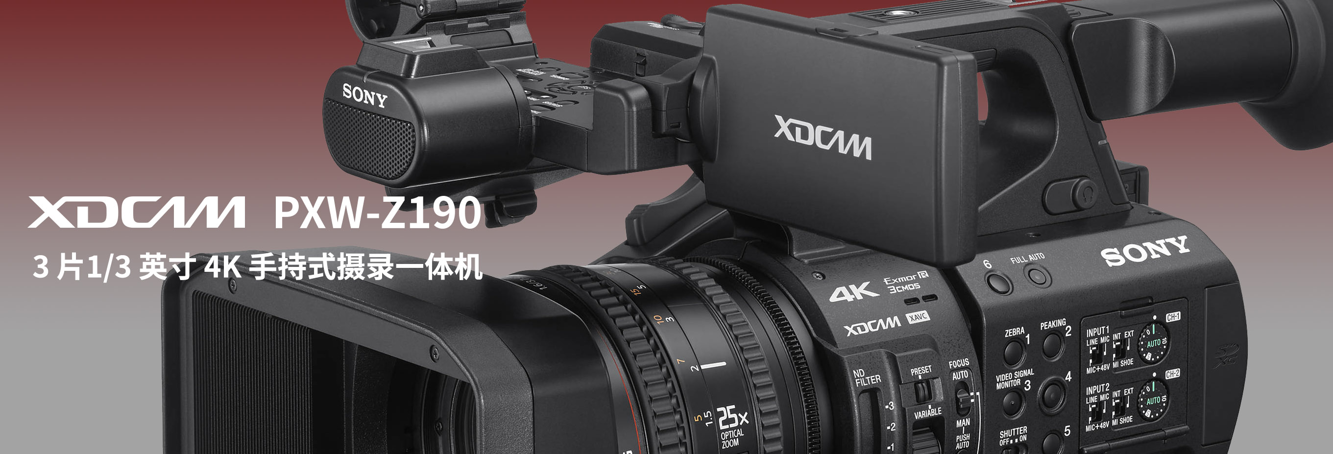 Sony NXCAM700